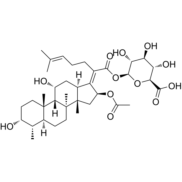 Fusidic acid acyl β-D-glucuronide 13013-66-6